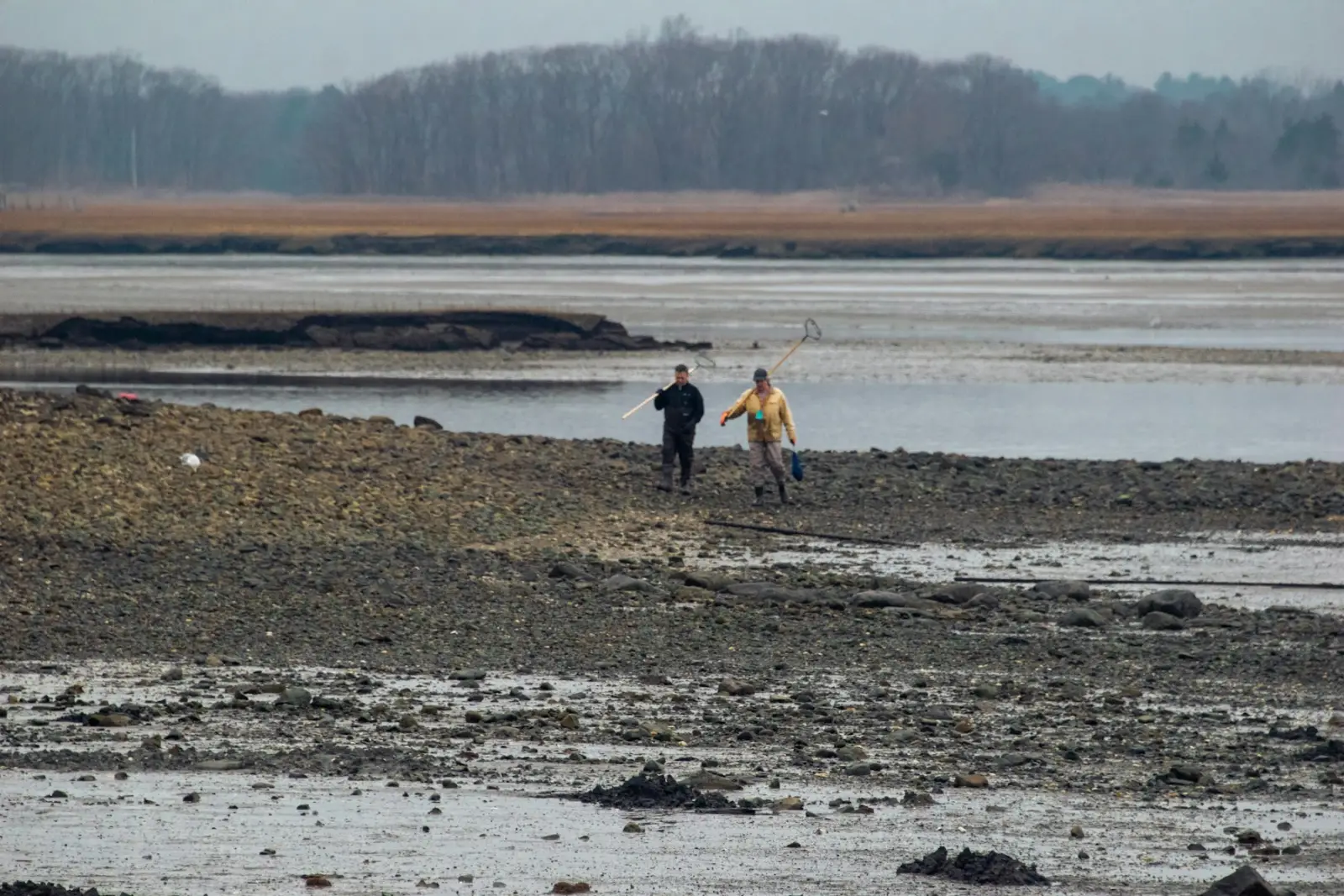 Mensen lopen bij eb over het drooggevallen wad